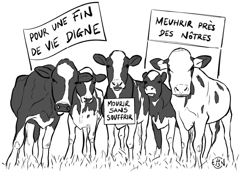 L'abattoir mobile : reconstruire le travail vivant entre éleveurs et animaux 